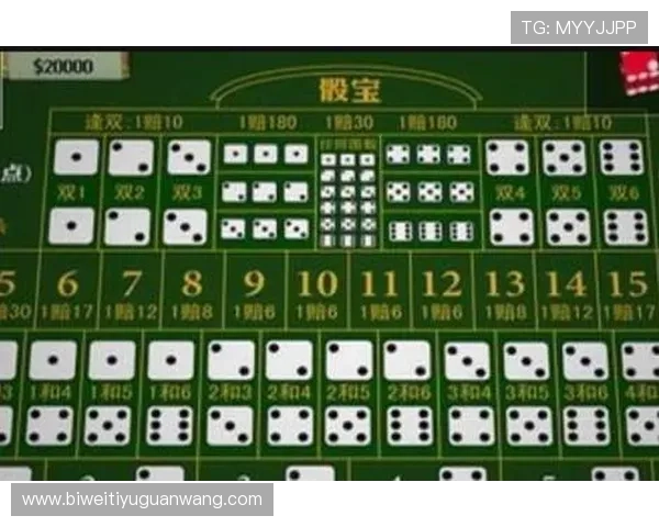 全面解析澳门骰宝游戏规则与投注技巧，提升你的赢钱概率