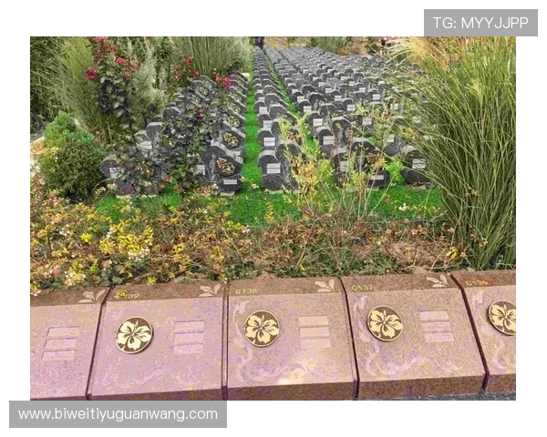 德赢注册中心的主要职责和服务内容详尽说明