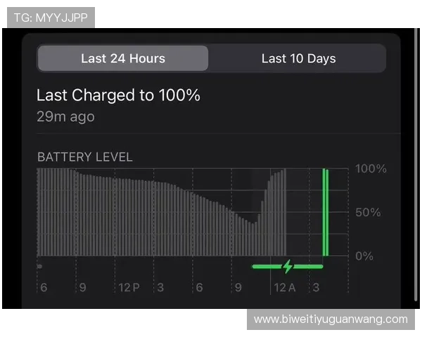 vsport运动平台的安全性与使用体验全面评测与用户反馈