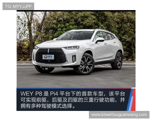 betwey官网常见问题与客服支持服务详解为玩家提供全方位帮助