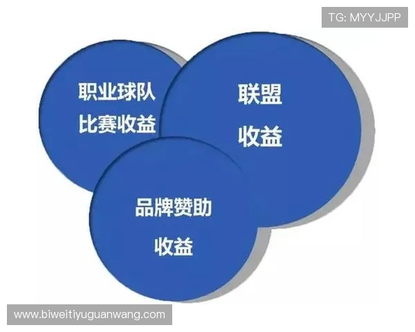 体育担保网：全面解析体育担保服务的优势与应用场景
