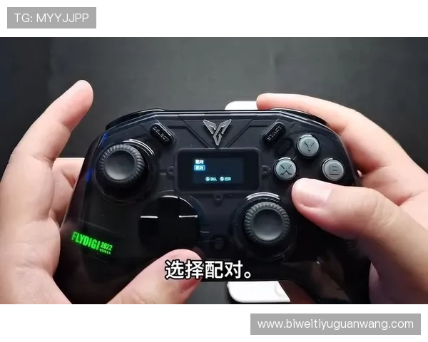 博鱼boyu游戏角色培养与装备搭配最佳方案详解