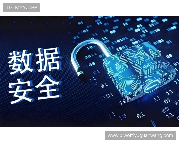 如何提升半岛体育官网的安全防护能力有效防止黑客攻击与数据泄露